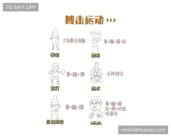 系统化拳击训练方法与实用技巧提升全面解析